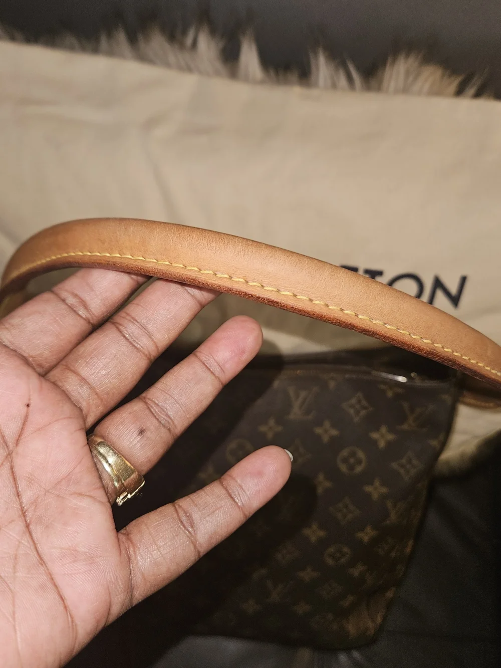 Louis Vuitton iconic louis